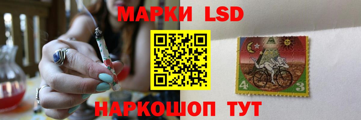Псилоцибиновые грибы Бахчисарай