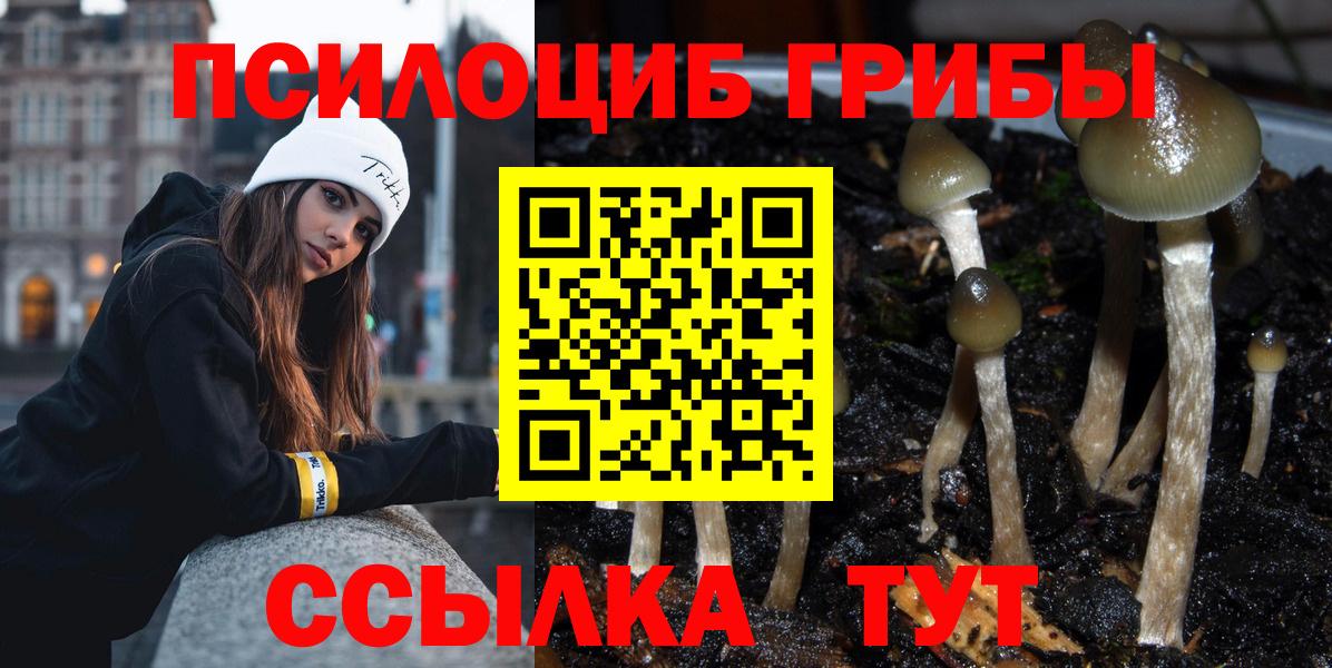 Галлюциногенные грибы ЛСД  Вход с VPN  Бахчисарай  Псилоцибиновые грибы Psilocybine cubensis 