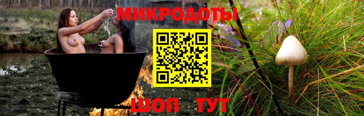 Галлюциногенные грибы Cubensis Бахчисарай